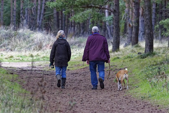 Dog walking calmly on a leash next to its owner in a park